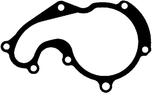 REINZ 70 36302 00 Pakning vannpumpe