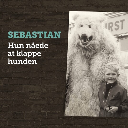 Sebastian Hun Nåede At Klappe Hunden LP/Vinyl Sebastian Hun Nåede At Klappe Hunden LP/Vinyl