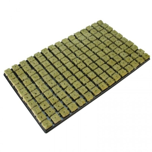 Rockwool Såingsbrett – 150 stk Steinullskuber med hull – 25 x 25 x 40 mm Rockwool Såingsbrett – 150 stk Steinullskuber med hull – 25 x 25 x 40 mm