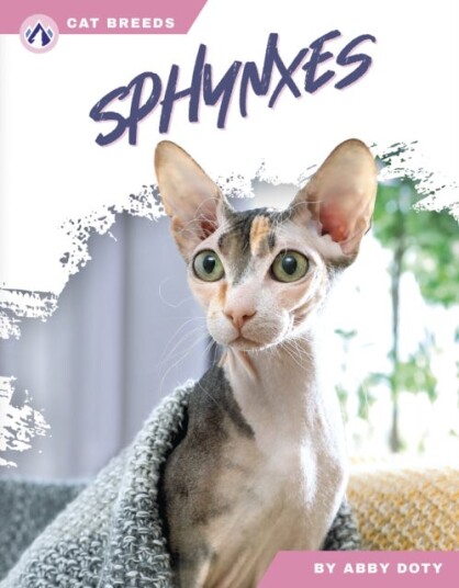 Cat Breeds: Sphynxes Cat Breeds: Sphynxes