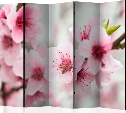 Romdeler - Spring, blooming tree - pink flowers II 225x1 - Artgeist sp. z o. o.
