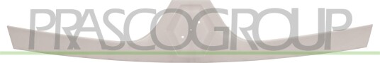 Radiatorgitter PRASCO RN9522001