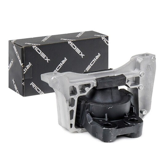 Motorfeste RIDEX 247E0308