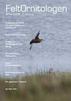 Feltornitolgene Feltornitologen Årbok 2008 Feltornitolgene Feltornitologen Årbok 2008