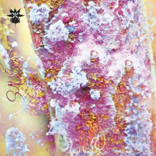 Qoa  Sauco  LP/Vinyl