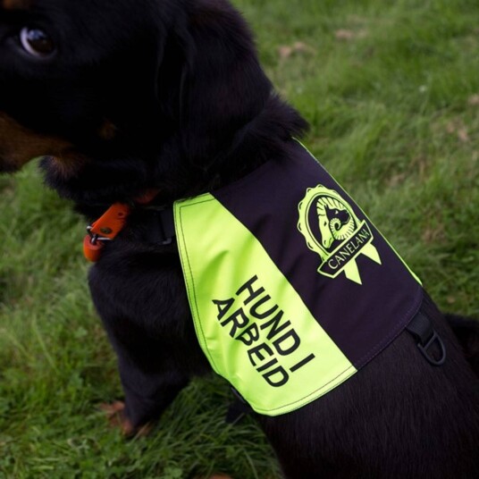 Canelana Markeringsdekken Hund i Arbeid Large - Slitesterk Softshell