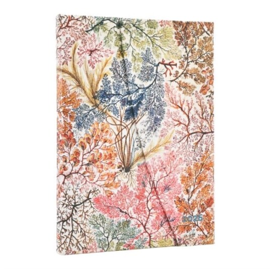 2026 Anemone (William Kilburn) Midi 12 month Verso Hardcover Flexi Dayplanner 2026 (Wrap Closure)