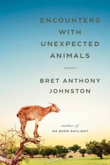 Encounters with Unexpected Animals Stories Encounters with Unexpected Animals Stories