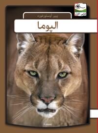 Østergaard Per Puma - arabisk Østergaard Per Puma - arabisk