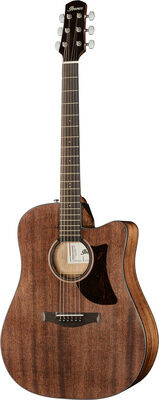 Ibanez AAD190CE-OPN