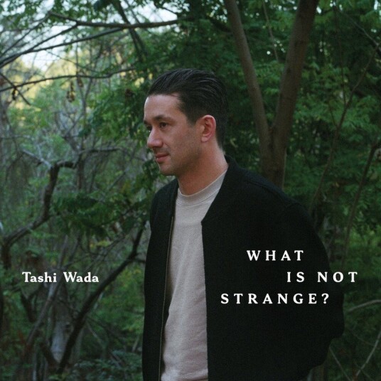 What Is Not Strange Vinyl