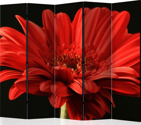 Romdeler - Red gerbera flower II 225x172 - Artgeist sp. z o. o.