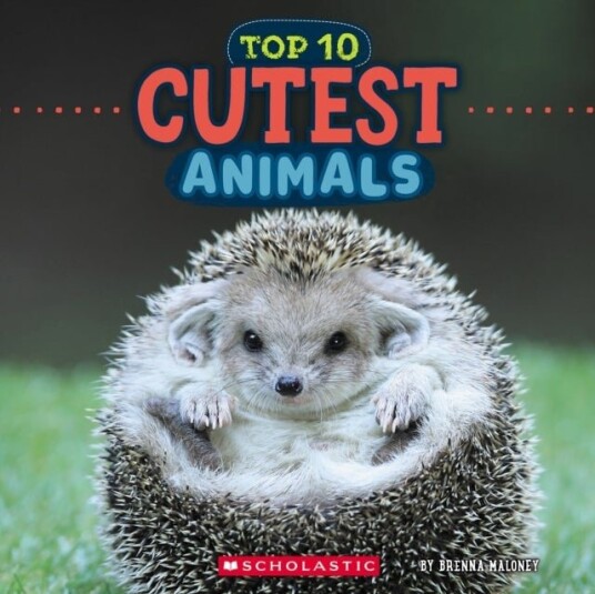 Cutest Animals Wild World: Top 10 Cutest Animals Wild World: Top 10