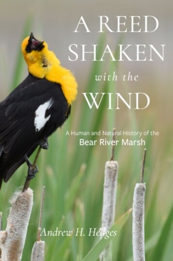 A Reed Shaken with the Wind A Reed Shaken with the Wind
