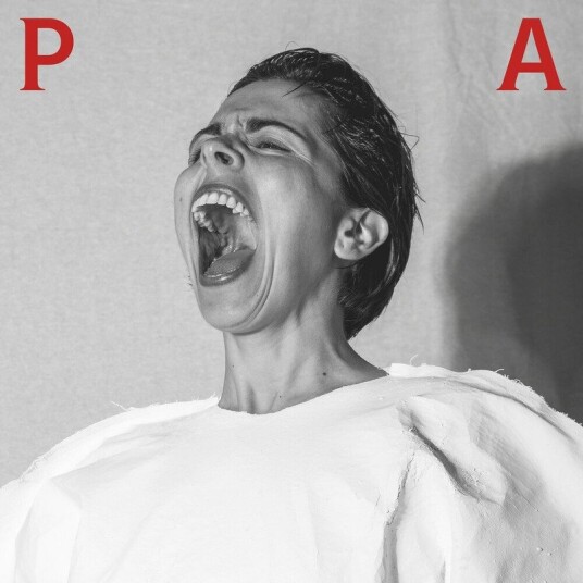 Pa Vinyl
