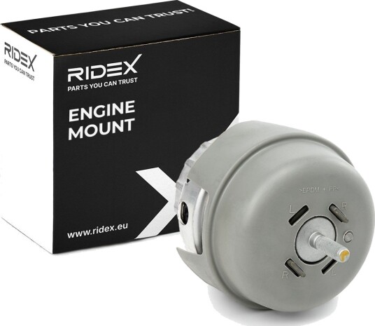 Motorfeste RIDEX 247E0614