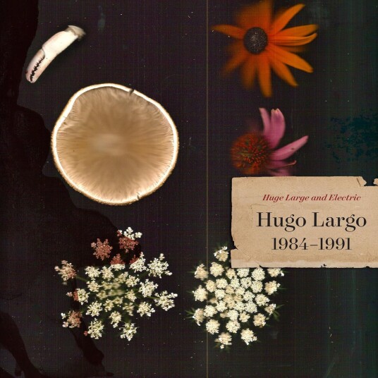 Hugo Largo Huge, Large and Electric: Hugo Largo 19841991 CD