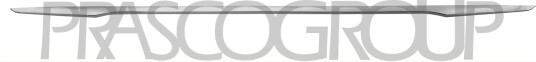 PRASCO BM0541275 Pynte- / vernelist, støtfanger