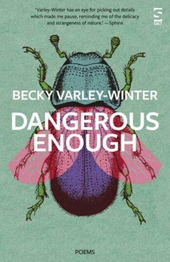 Dangerous Enough Av Ms Becky Varley-Winter