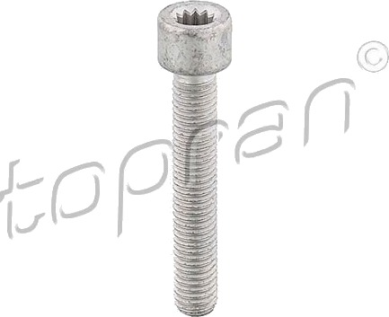 Skrue, leddaksel flens TOPRAN 104 306