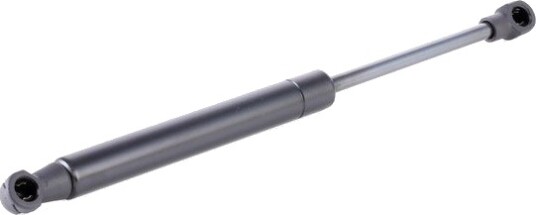 RIDEX 219G0117 Baklukedemper