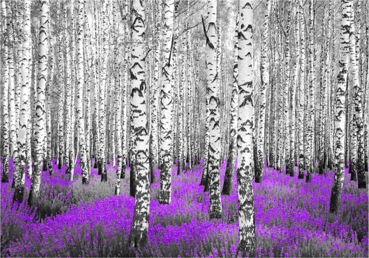 Fototapet Purple Asylum 350x245 - Artgeist sp. z o. o.