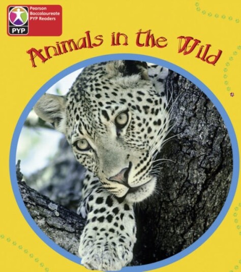 PYP L1 Animals in the Wild single PYP L1 Animals in the Wild single