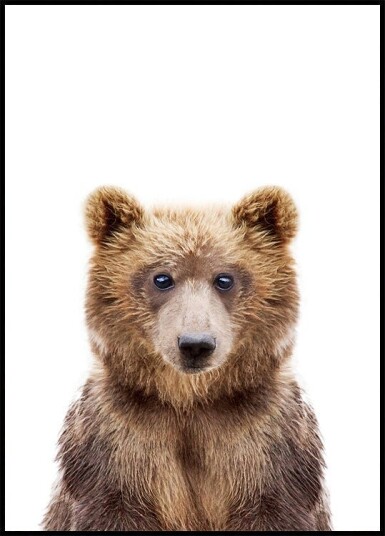 Baby Bear Plakat / 21x30cm