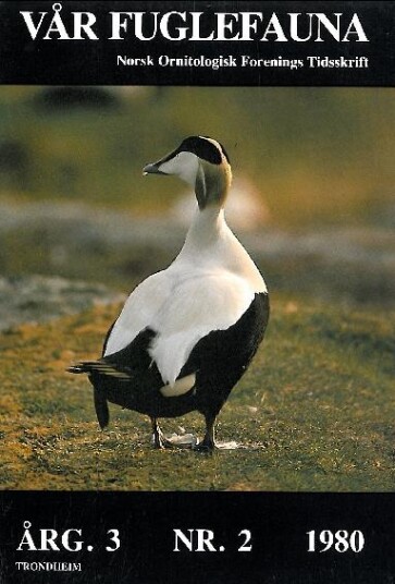 Norsk Ornitologisk Forening Vår Fuglefauna   1980 2 årgang 3