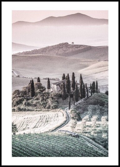 Tuscany Hills Landscape Plakat Plakat / 50x70cm