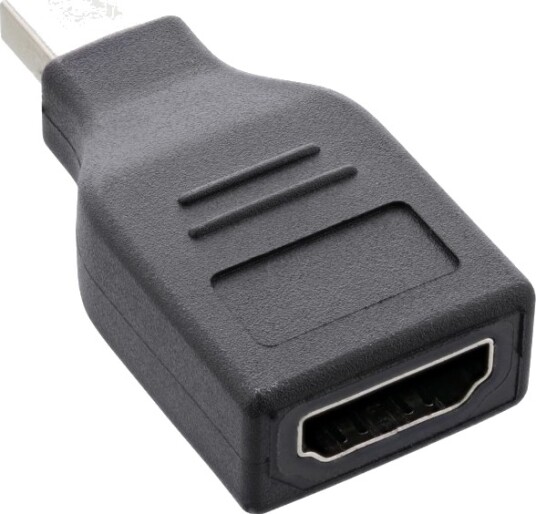 Inline 17196D Displayport Mini Displayport Hankjønn Hunkjønn 1920 X 1080 Piksler Svart