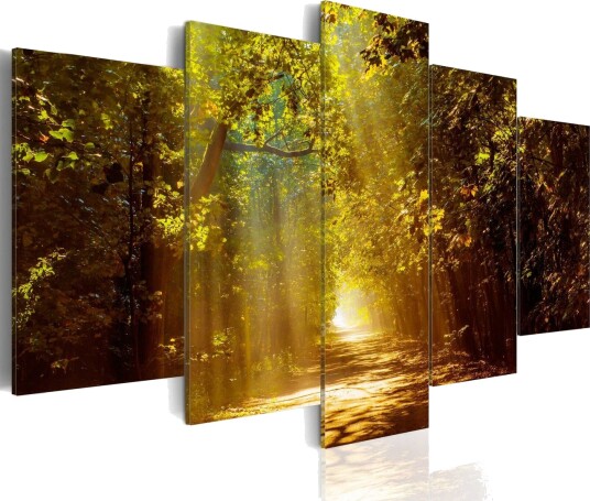 Bilde Forest In The Sunlight 200x100 Artgeist sp. z o. o.