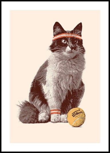 Chat Tennis Plakat Plakat / 70x100cm