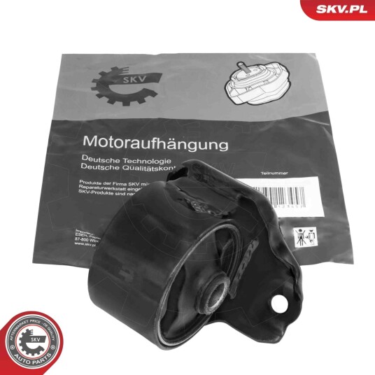 Motorfeste ESEN SKV 75SKV232