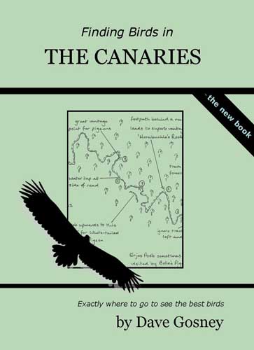 Finding Birds in the Canaries Finding Birds in the Canaries