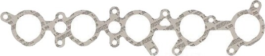 Tetning, innsugningsmanifold REINZ 71-34983-00