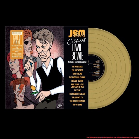 Diverse Artister  Jem Records Celebrates David Bowie  LP/Vinyl
