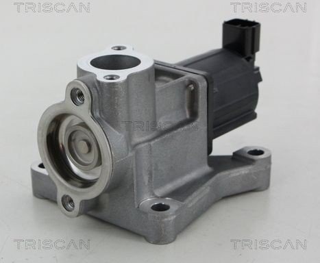 EGR-ventil TRISCAN 8813 50015