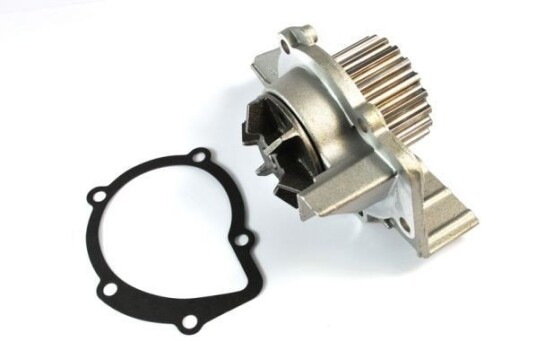 THERMOTEC D1F061TT Vannpumpe