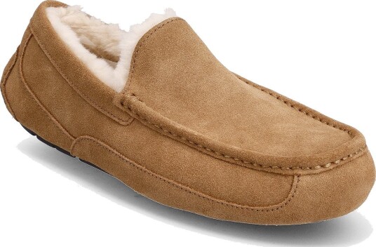 UGG M Ascot - CHESTNUT - 48.5