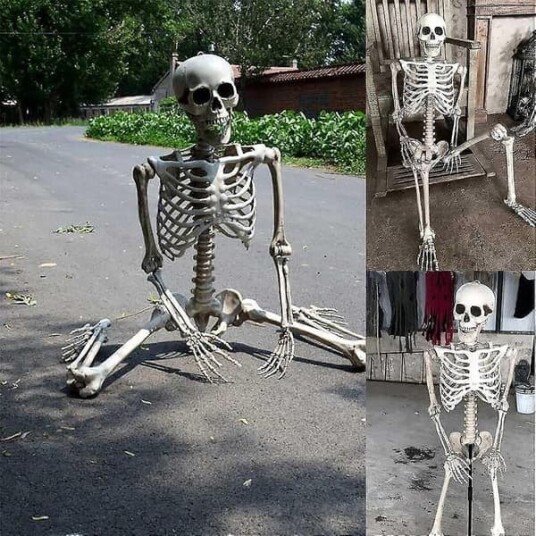 Halloween Skjelett med Bevegelige Ledd i Full Størrelse