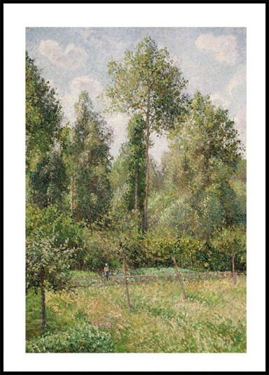 Poplars Éragny By Camille Pissarro Plakat Plakat / 100x150cm Poplars Éragny By Camille Pissarro Plakat Plakat / 100x150cm