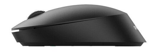 Philips SPK7307B - 3000 Series - mouse - 2.4 GHz - Mus - Optisk - 3 knapper - Svart