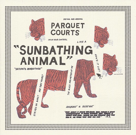 Parquet Courts  Sunbathing Animal  LP/Vinyl