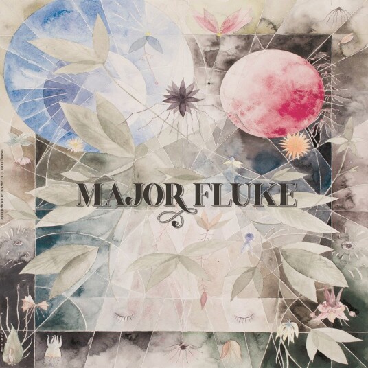 Major Fluke Years Ahead Hours Behind Vinyl