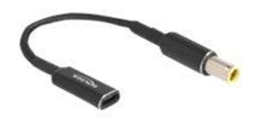 DeLOCK - power adapter - 24 pin USB-C to DC jack 7.9 x 5.5 mm - 15 cm