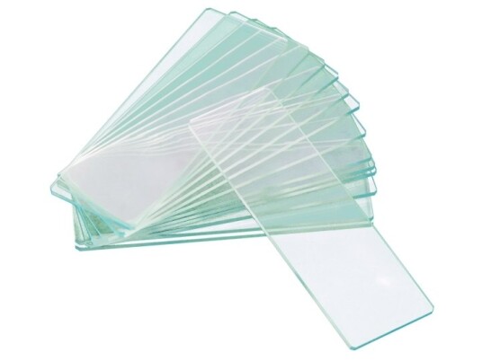 Mikroskop Levenhuk G50 2H Dobbel Hulrom Blanke Lysbilder 50 Stk.