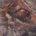 Converge Unloved & Weeded Out CD