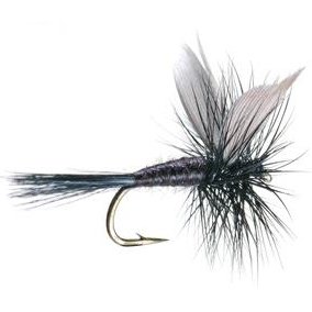 Umpqua Flies Black Gnat