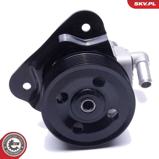 Servopumpe ESEN SKV 10SKV310